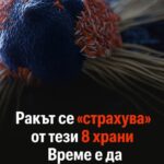 Ракът се „страхува“от тези 8 храни! Консумирайте ги редовно