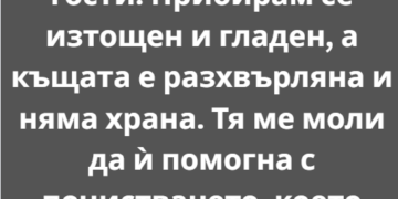 Съпругата ми, Десислава, си стои вкъщи, докато аз работя като лекар. Дванадесет, понякога четиринадесетчасови смени в спешното отделение, свят на стерилна паника, мирис на йод и постоянното, тихо писукане на машини, които поддържат живота. Прибирам се в друг свят. Свят на хаос.