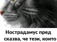 Нострадамус предсказва, че тези, които имат котка в къщи, ще… Нострадамус предсказва, че тези, които имат котка в къщи, ще…