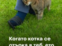 Когато котка се отърка в теб, ето какво означава това