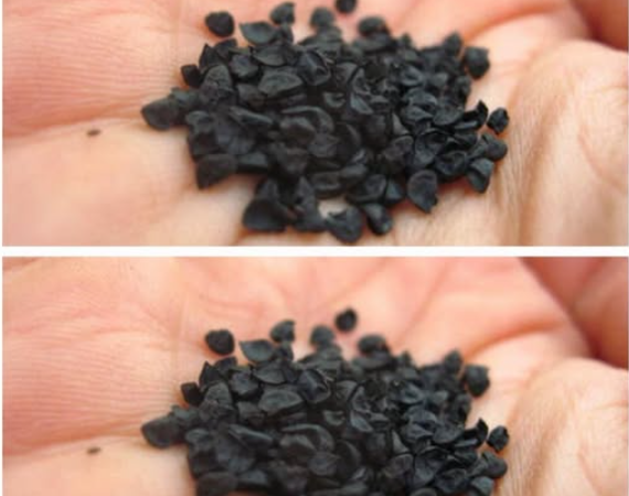 Това Божие растение „лекува всички болести“ – инсулт, диабет, артрит и други.