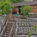 ВИДЕО! Северна България под ледена обсада: 20-минутна градушка унищожи всичко