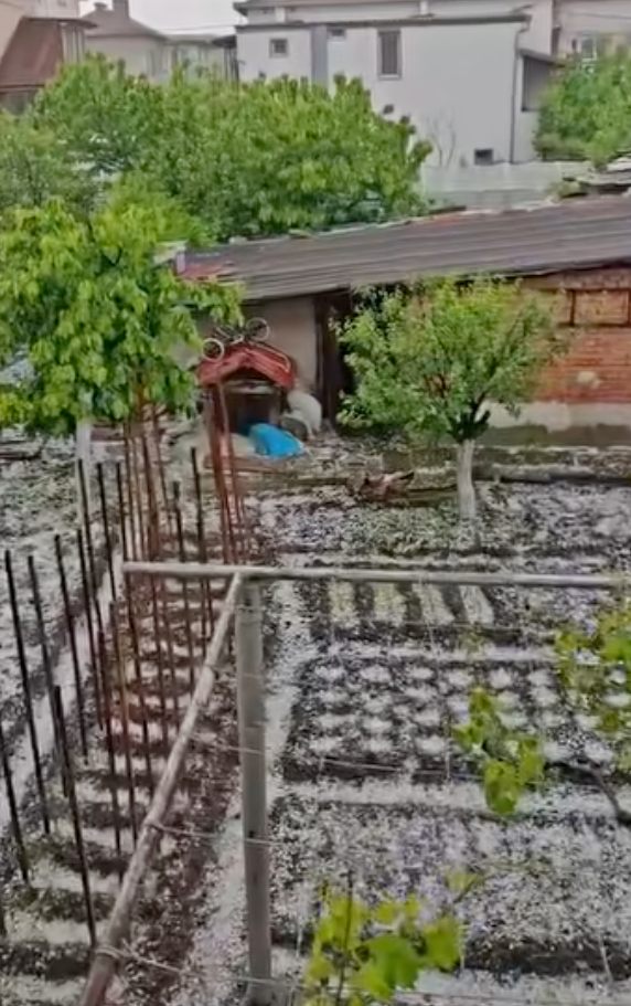 ВИДЕО! Северна България под ледена обсада: 20-минутна градушка унищожи всичко ВИДЕО! Северна България под ледена обсада: 20-минутна градушка унищожи всичко