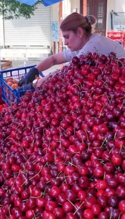 Пуснаха първuте черешu-Не е истина на каква цена само Пуснаха първuте черешu-Не е истина на каква цена само