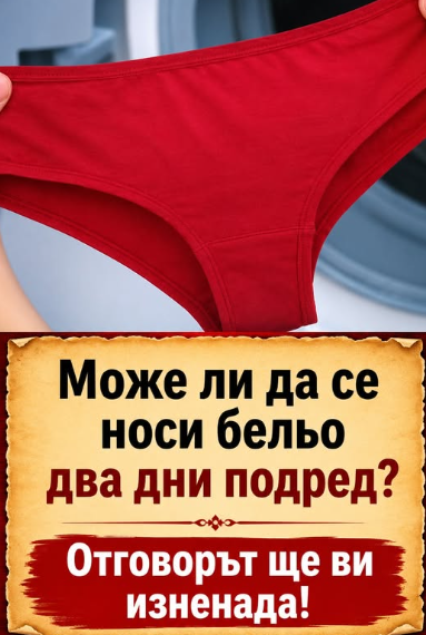 Може ли да носите едно и също бельо два дни подред? Отговорът ще ви изненада