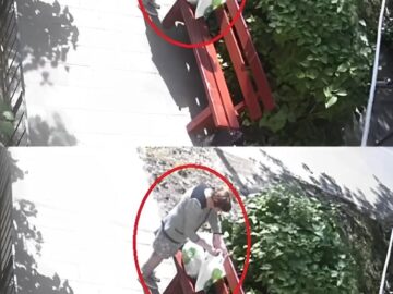Хора, помогнете, може някой да разпознае тази жена? Може да е нечия съседка? Само погледнете какво е направила.