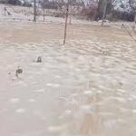 Извънредно! Река излезе от коритото си. Много къщи са под вода