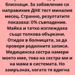 Сестра ми и аз сме двуяйчни близнаци. Поне така ни бяха казали. Аз, Лилия, винаги бях по-организираната, може би малко по-скучната