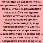 Сестра ми и аз сме двуяйчни близнаци. Поне така ни бяха казали. Аз, Лилия, винаги бях по-организираната, може би малко по-скучната