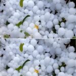 Всичко побеля, градушка като орех помля всичко в тази част от България