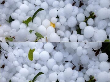 Всичко побеля, градушка като орех помля всичко в тази част от България