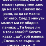 Тази сутрин беше точно така. Нищо необичайно. Обикновен вторник, обикновена маршрутка за станцията