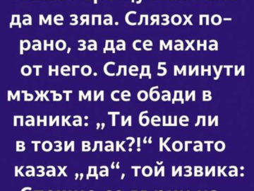 Тази сутрин беше точно така. Нищо необичайно. Обикновен вторник, обикновена маршрутка за станцията