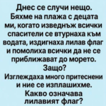 Лилавото знаме на плажа: скритият сигнал за опасни морски животни