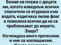 Лилавото знаме на плажа: скритият сигнал за опасни морски животни