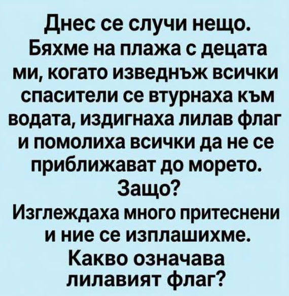 Лилавото знаме на плажа: скритият сигнал за опасни морски животни