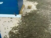 СПЕШН0 Това се случи вчера Много се надявам, че ще го видят онези, които са замесени, защото това е истинска КАТАСТР0ФА…