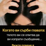 Ако усещате сърбеж по скалпа, имайте предвид: тялото ви ясно дава сигнал, че нещо не е наред! Може би е моментът да му обърнете внимание