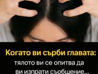Ако усещате сърбеж по скалпа, имайте предвид: тялото ви ясно дава сигнал, че нещо не е наред! Може би е моментът да му обърнете внимание